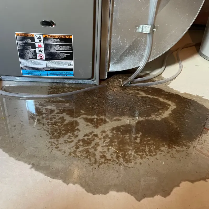 Appliance Leak Cleanup in Royal Kunia, HI