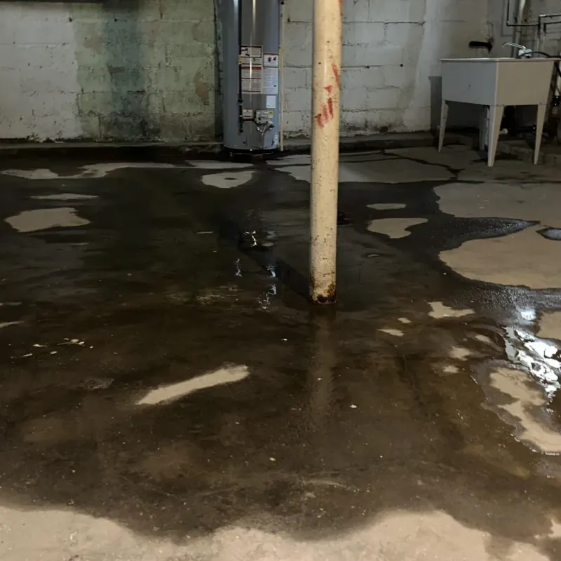 Emergency Water Extraction And Removal in Royal Kunia, HI